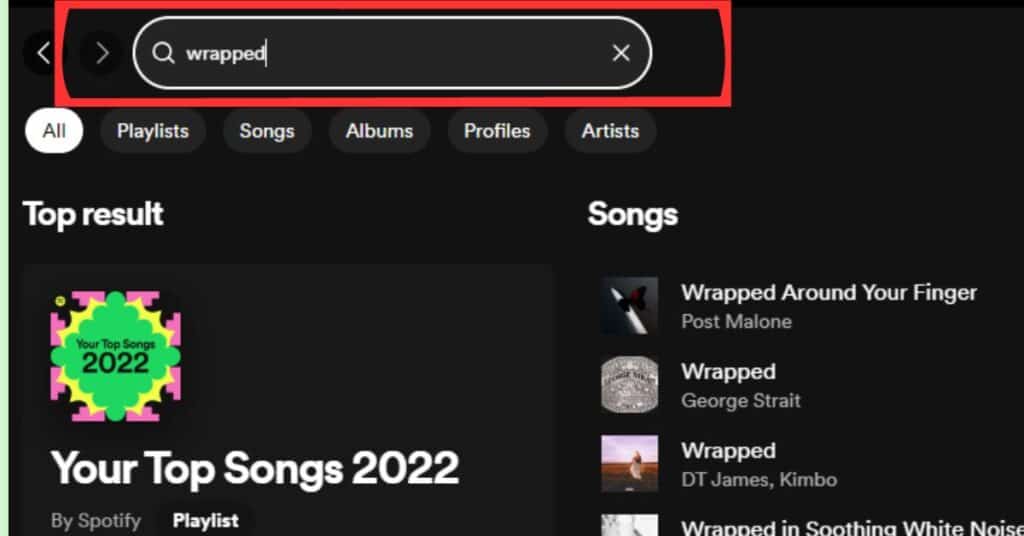 see Spotify Wrapped 2022