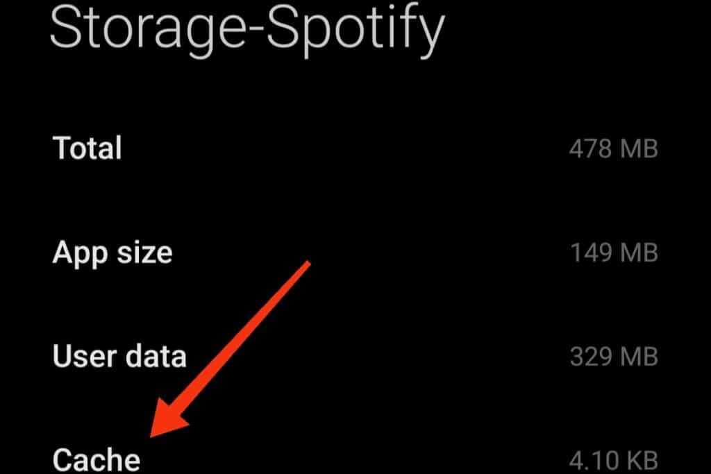 Spotify storage information