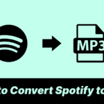 How to Convert Spotify to MP3