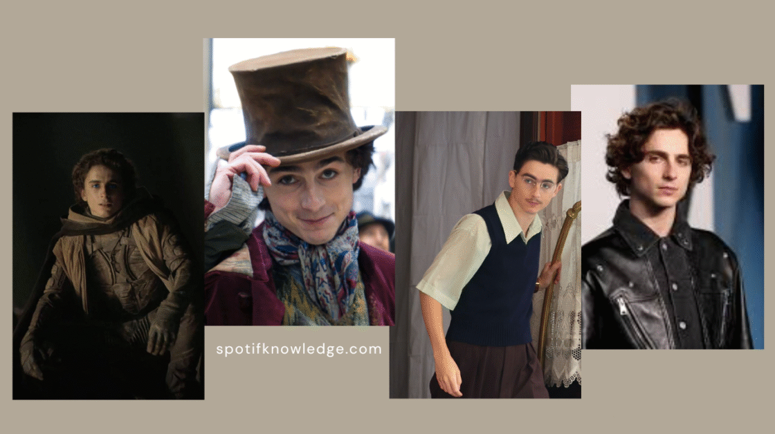 What’s Next for Timothée Chalamet?