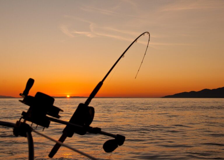 Top Tips for Preparing a Successful Halibut Fishing Trip