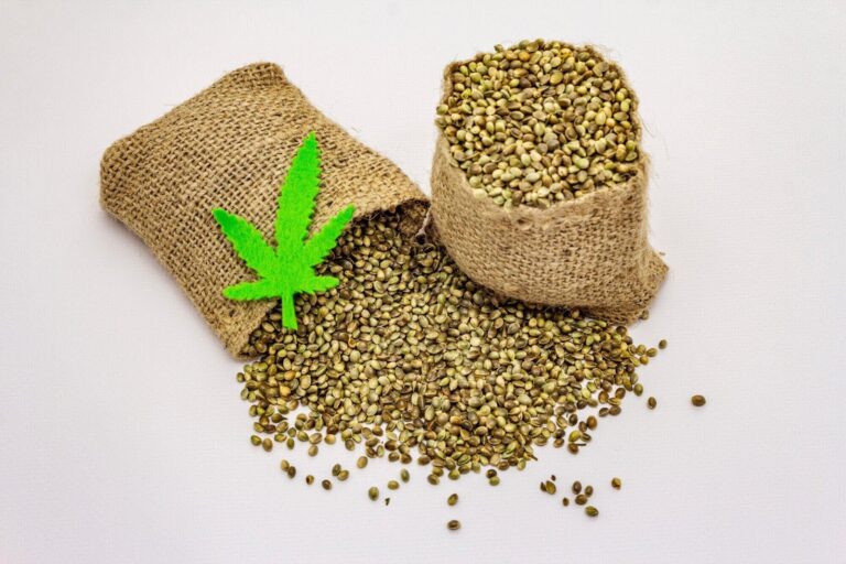 Choosing the Right Seed Strain: Tips for Beginners & Experts