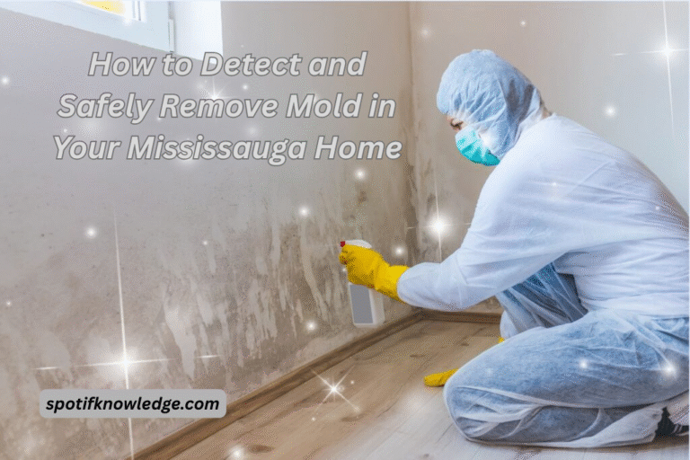 How to Detect and Safely Remove Mold in Your Mississauga Home