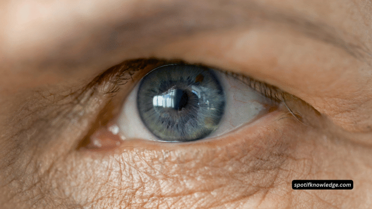 Blurry Pages? Signs That Tell Elders It's Time for Reading Glasses