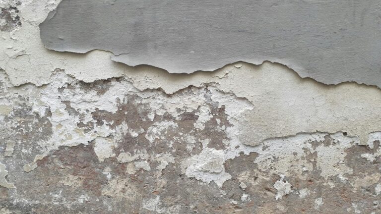 Step-by-Step Guide to Preparing for a Home Mold Inspection