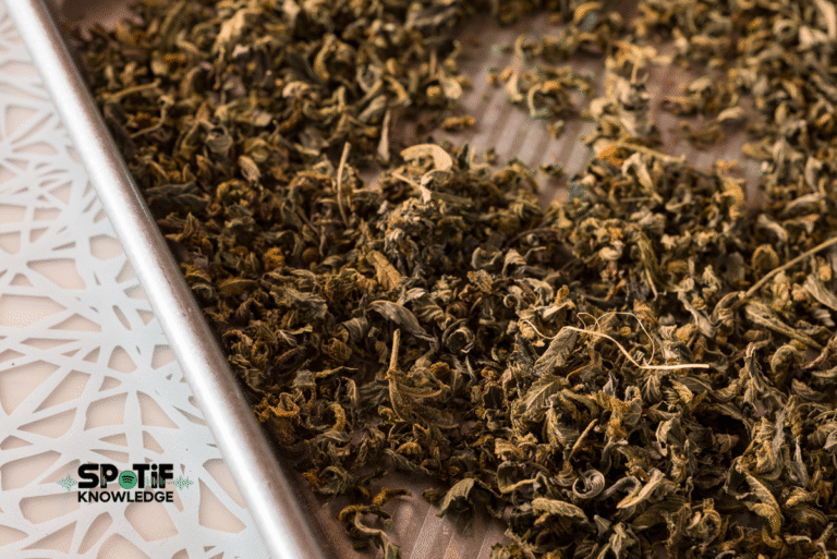 Maximize Cannabis Benefits Easily with This Decarboxylation Guide