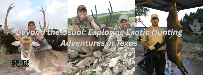 Beyond the Usual: Exploring Exotic Hunting Adventures in Texas