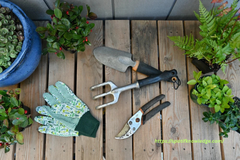 Essential Tools Every Gardener Should Have in Their Shed